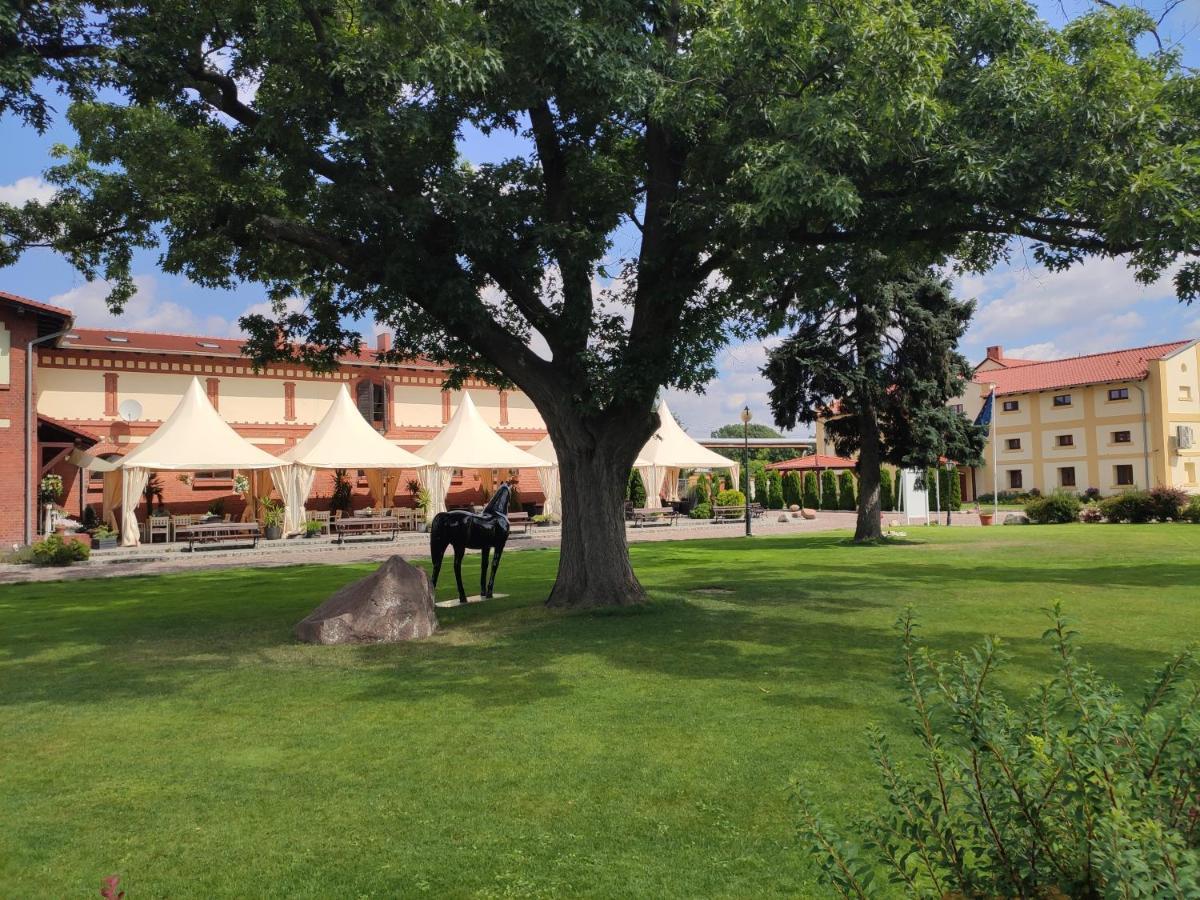 Hotel Sandro Silver & Spichlerz Antoniny Лешно Екстер'єр фото